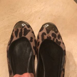 Giuseppe Zanotti leopard ballet flats
